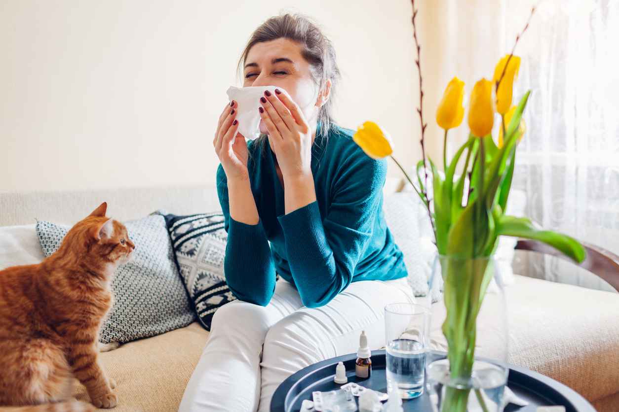 Spring allergy. Woman sneezing because of tulips flowers surrounded with pills and drops at home. Seasonal allergy.